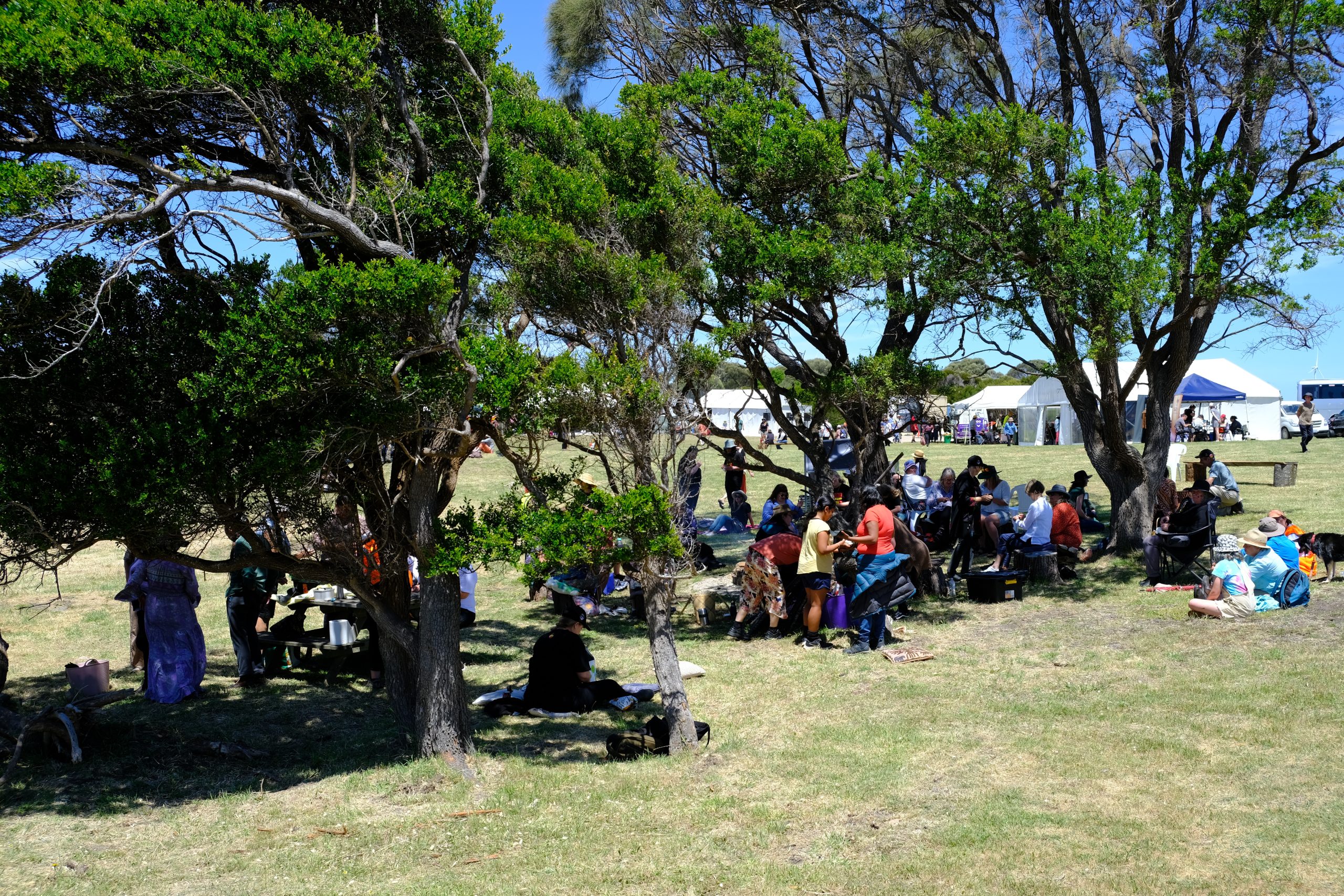MTWAC Community