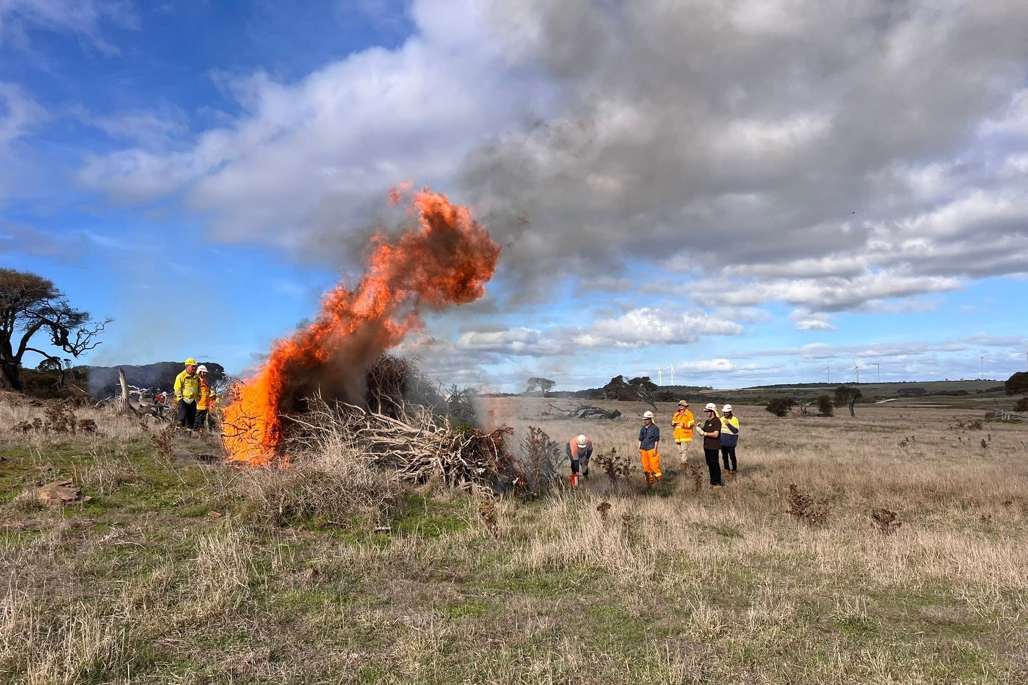 CULTURAL FIRE Aboriginal rangers conducting cultural burning for land management