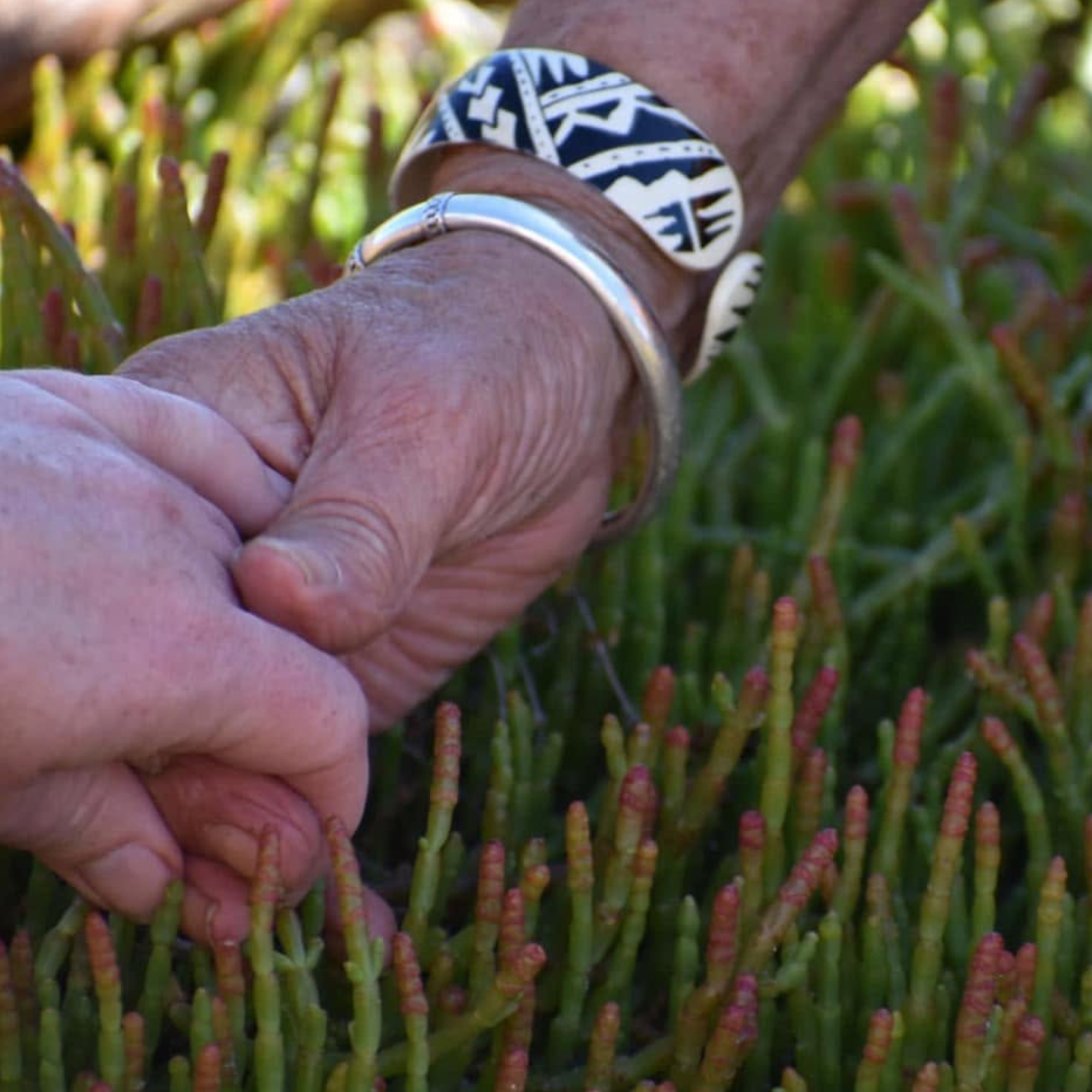 Holding hands with native coastal vegetation